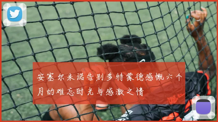 安塞尔米诺告别多特蒙德感慨六个月的难忘时光与感激之情