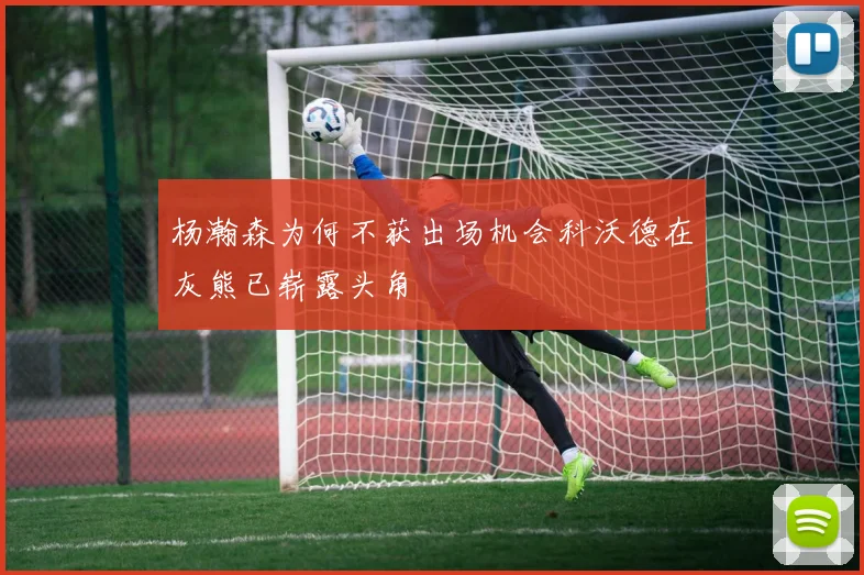 杨瀚森为何不获出场机会科沃德在灰熊已崭露头角