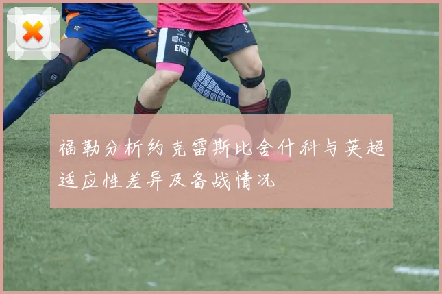福勒分析约克雷斯比舍什科与英超适应性差异及备战情况