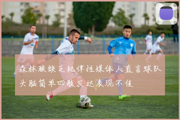 森林狼缺乏纪律性媒体人直言球队头脑简单四肢发达表现不佳